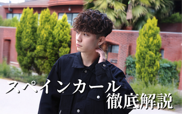 スペインカールのTOP&Thumbnail画像